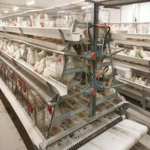 stepped layer cage system