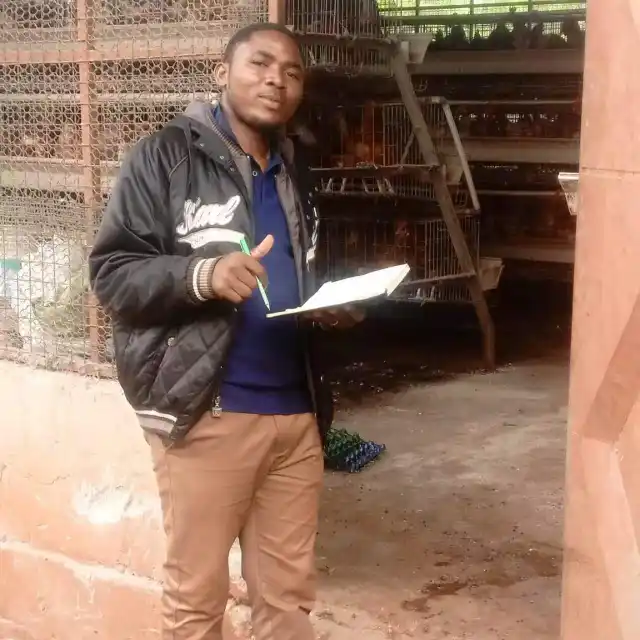 layer premix for African poultry farmers